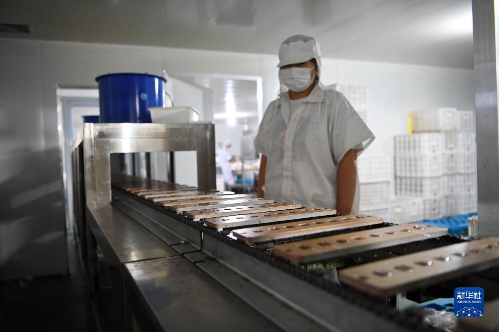 娱乐网站注册送礼金